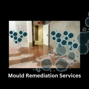 Professional Mould Remediation - Professional restoration service in Brisbane & Ipswich